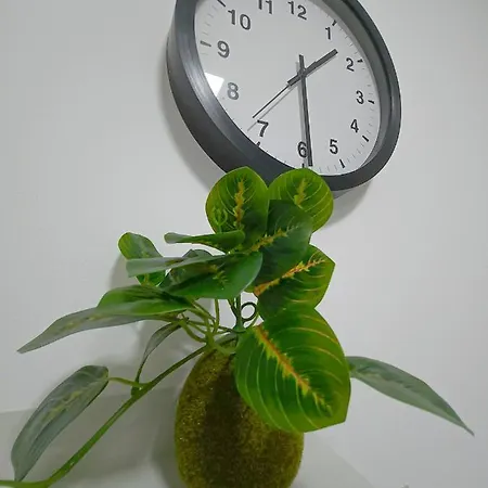 Oota Soko Ha Apartment Kragujevac