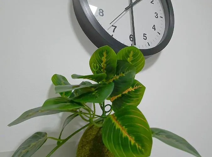 Oota Soko Ha شقة كراغوييفاك